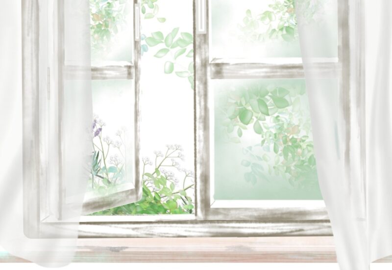 今年の夏は“整える”快適術で。