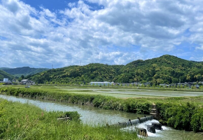 心がほどける場所を探して 〜感覚で選ぶ土地の話〜